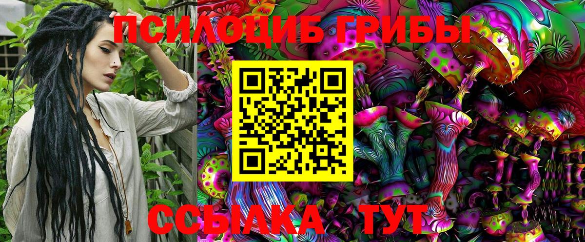 Заринск  Псилоцибиновые грибы Psilocybine cubensis  Галлюциногенные грибы Psilocybine cubensis  Вход с VPN 